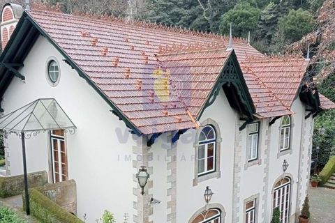 Villa i Sintra, Lisbon, Sintra - € 8.500.000 | Ref: PSI-216692 - foto 15