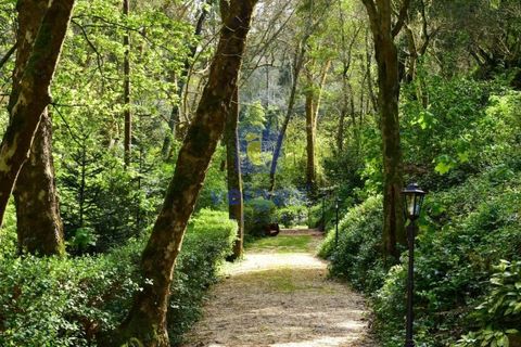 Villa i Sintra, Lisbon, Sintra - € 8.500.000 | Ref: PSI-216692 - foto 21