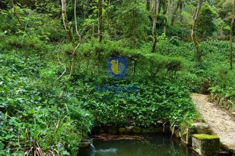 Villa i Sintra, Lisbon, Sintra - € 8.500.000 | Ref: PSI-216692 - foto 22