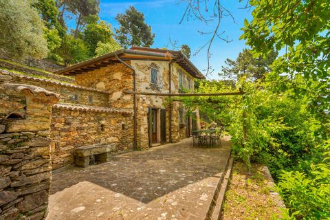 Villa i Pietrasanta, Lucca, Pietrasanta - € 2.995.000 | Ref: CBI129-1110-130640 - foto 34