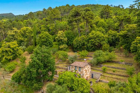 Villa i Pietrasanta, Lucca, Pietrasanta - € 2.995.000 | Ref: CBI129-1110-130640 - foto 42