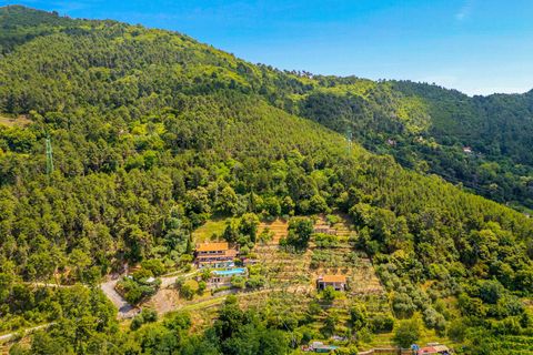 Villa i Pietrasanta, Lucca, Pietrasanta - € 2.995.000 | Ref: CBI129-1110-130640 - foto 45