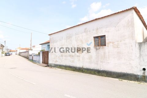 Landejendom i Aveiro, Aveiro, Aveiro - € 300.000 | Ref: MN_ZG_111665 - foto 3