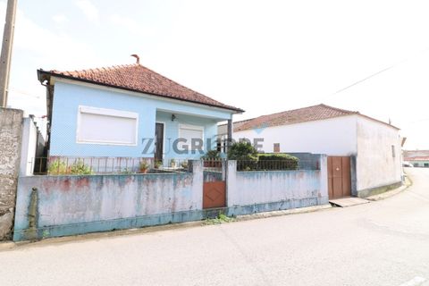 Landejendom i Aveiro, Aveiro, Aveiro - € 300.000 | Ref: MN_ZG_111665 - foto 4