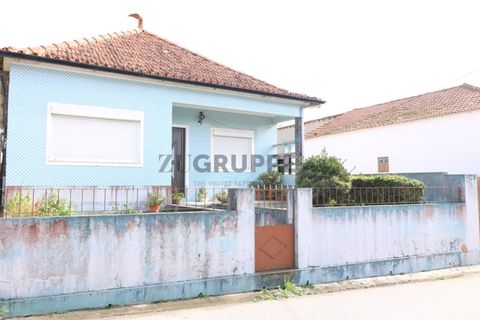 Landejendom i Aveiro, Aveiro, Aveiro - € 300.000 | Ref: MN_ZG_111665 - foto 5
