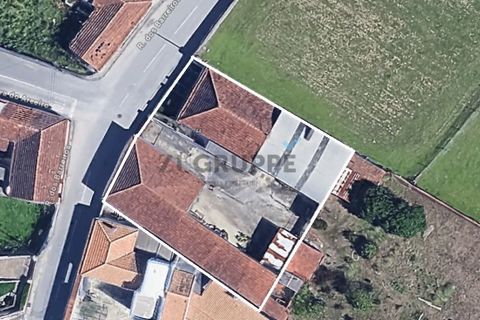 Landejendom i Aveiro, Aveiro, Aveiro - € 300.000 | Ref: MN_ZG_111665 - foto 7