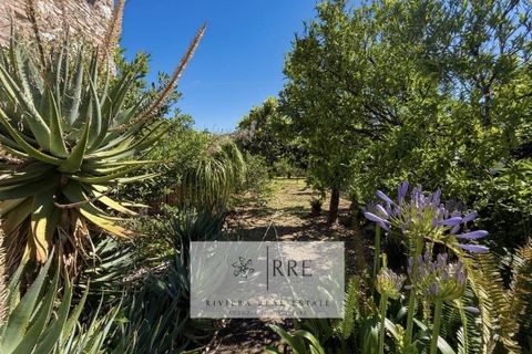 Landejendom i Toirano, Savona, Toirano - € 450.000 | Ref: 38601013-297 - foto 31