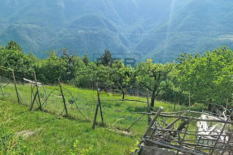 Villa i Trambileno, Trento, Trambileno - € 125.000 | Ref: FP-054 - foto 38
