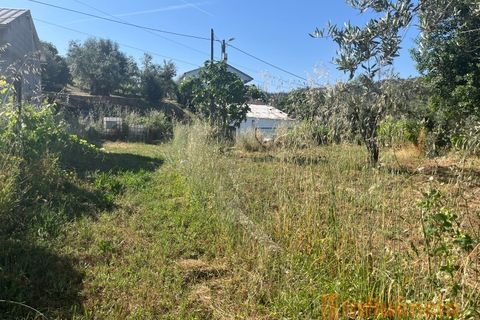 Helårsgrund i Fundao, Castelo Branco, Fundao - € 65.000 | Ref: SÒL_124 - foto 4