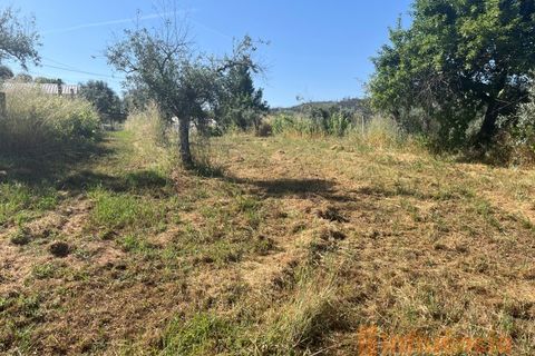 Helårsgrund i Fundao, Castelo Branco, Fundao - € 65.000 | Ref: SÒL_124 - foto 5