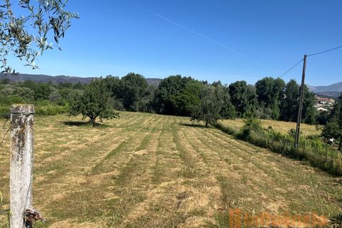 Helårsgrund i Fundao, Castelo Branco, Fundao - € 65.000 | Ref: SÒL_124 - foto 7