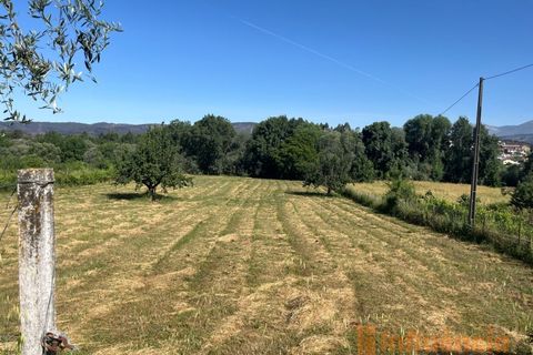 Helårsgrund i Fundao, Castelo Branco, Fundao - € 65.000 | Ref: SÒL_124 - foto 9