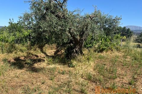 Helårsgrund i Fundao, Castelo Branco, Fundao - € 65.000 | Ref: SÒL_124 - foto 10