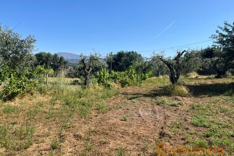 Helårsgrund i Fundao, Castelo Branco, Fundao - € 65.000 | Ref: SÒL_124 - foto 11