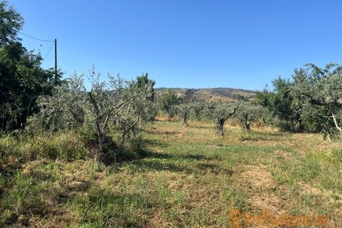 Helårsgrund i Fundao, Castelo Branco, Fundao - € 65.000 | Ref: SÒL_124 - foto 12