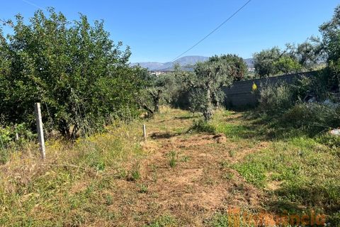 Helårsgrund i Fundao, Castelo Branco, Fundao - € 65.000 | Ref: SÒL_124 - foto 14