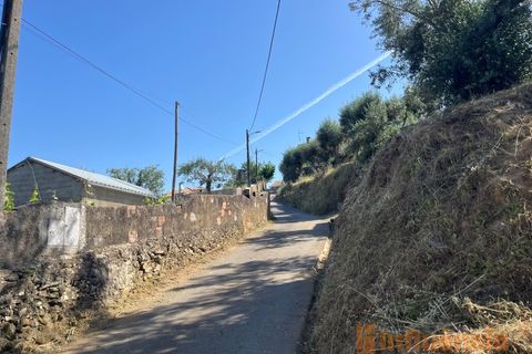 Helårsgrund i Fundao, Castelo Branco, Fundao - € 65.000 | Ref: SÒL_124 - foto 15