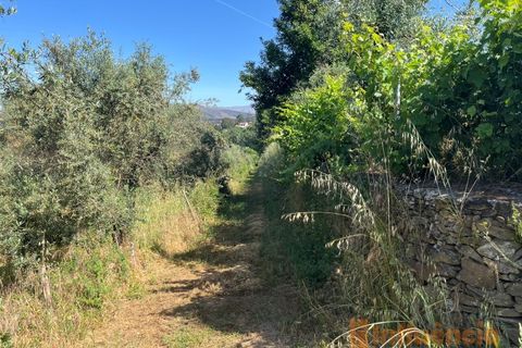 Helårsgrund i Fundao, Castelo Branco, Fundao - € 65.000 | Ref: SÒL_124 - foto 17