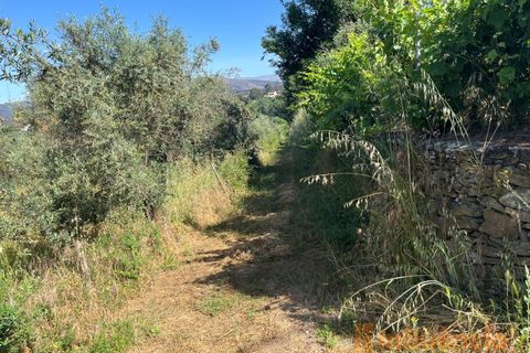 Helårsgrund i Fundao, Castelo Branco, Fundao - € 65.000 | Ref: SÒL_124 - foto 18