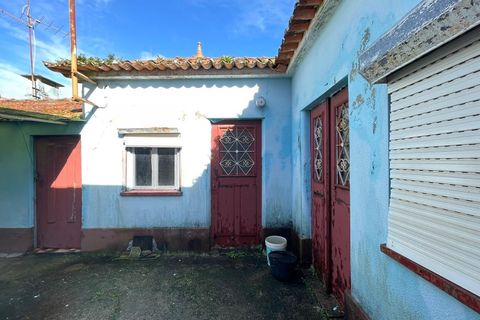 Villa i Murtosa, Aveiro, Murtosa - € 60.000 | Ref: 596 - foto 2