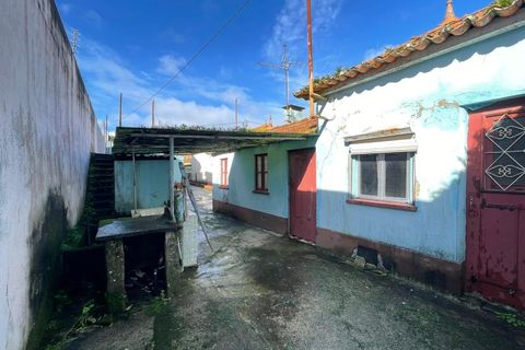 Villa i Murtosa, Aveiro, Murtosa - € 60.000 | Ref: 596 - foto 3