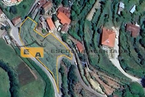 Helårsgrund i Baiao, Porto, Baiao - € 120.000 | Ref: 12020 - foto 2