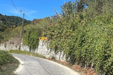 Helårsgrund i Baiao, Porto, Baiao - € 120.000 | Ref: 12020 - foto 4