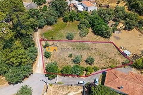 Helårsgrund i Batalha, Leiria, Batalha - € 45.000 | Ref: 12019 - foto 2