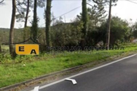 Helårsgrund i Batalha, Leiria, Batalha - € 45.000 | Ref: 12019 - foto 3