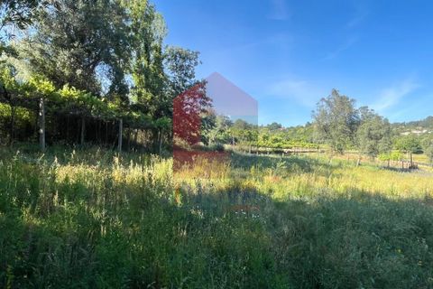Byhus i Vila Verde, Braga, Vila Verde - € 136.000 | Ref: 08921 - foto 8