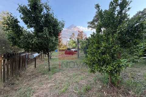 Helårsgrund i Vila Verde, Braga, Vila Verde - € 88.800 | Ref: 08920 - foto 2
