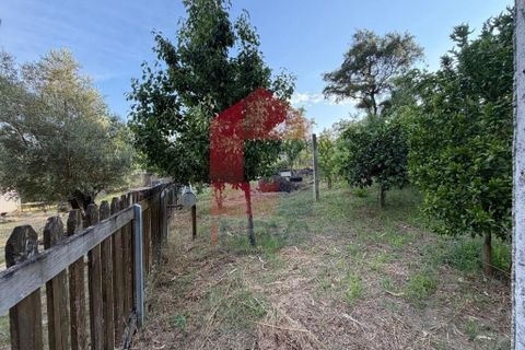 Helårsgrund i Vila Verde, Braga, Vila Verde - € 88.800 | Ref: 08920 - foto 3