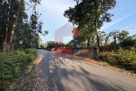 Helårsgrund i Vila Verde, Braga, Vila Verde - € 88.800 | Ref: 08920 - foto 7