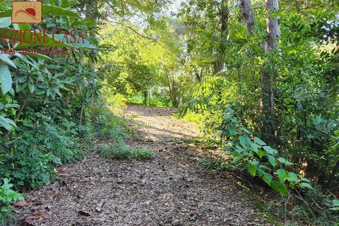 Villa a Sagrado, Gorizia, Sagrado - € 258.000 | Ref: 1674 - foto 8