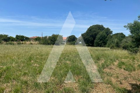 Helårsgrund i Oia, Aveiro, Oia - € 30.000 | Ref: 1210712/26 SX - foto 3