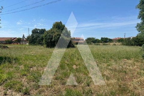 Helårsgrund i Oia, Aveiro, Oia - € 30.000 | Ref: 1210712/26 SX - foto 4