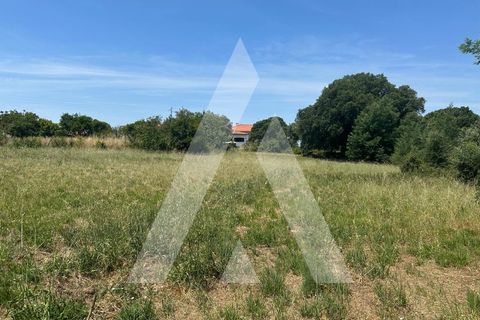 Helårsgrund i Oia, Aveiro, Oia - € 30.000 | Ref: 1210712/26 SX - foto 6