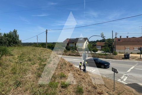 Helårsgrund i Oia, Aveiro, Oia - € 30.000 | Ref: 1210712/26 SX - foto 7