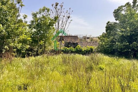 Farm i Boidobra, Castelo Branco, Boidobra - € 100.000 | Ref: DBJ1397/26 - foto 2