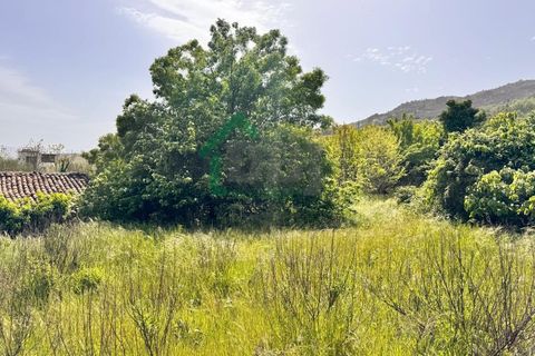 Farm i Boidobra, Castelo Branco, Boidobra - € 100.000 | Ref: DBJ1397/26 - foto 3