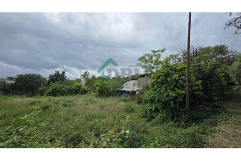 Farm i Boidobra, Castelo Branco, Boidobra - € 100.000 | Ref: DBJ1397/26 - foto 5