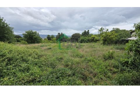 Farm i Boidobra, Castelo Branco, Boidobra - € 100.000 | Ref: DBJ1397/26 - foto 6