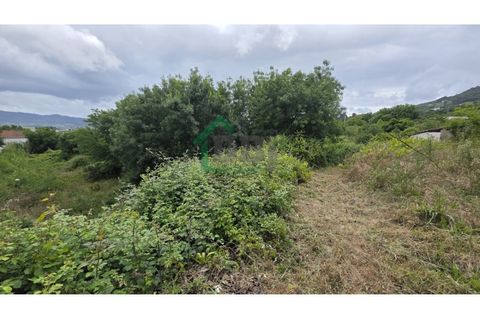 Farm i Boidobra, Castelo Branco, Boidobra - € 100.000 | Ref: DBJ1397/26 - foto 7