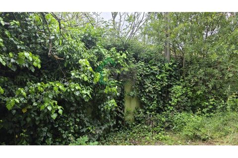 Farm i Boidobra, Castelo Branco, Boidobra - € 100.000 | Ref: DBJ1397/26 - foto 8