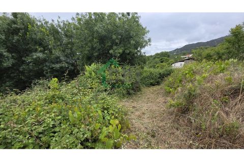 Farm i Boidobra, Castelo Branco, Boidobra - € 100.000 | Ref: DBJ1397/26 - foto 9
