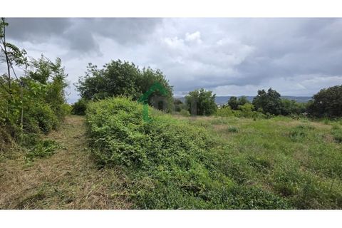 Farm i Boidobra, Castelo Branco, Boidobra - € 100.000 | Ref: DBJ1397/26 - foto 10