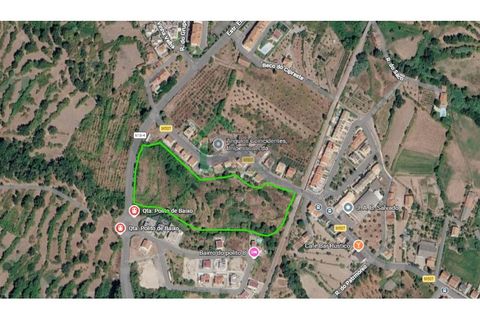 Farm i Boidobra, Castelo Branco, Boidobra - € 100.000 | Ref: DBJ1397/26 - foto 11