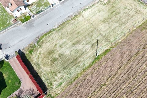 Helårsgrund i Calvisano, Brescia, Calvisano - € 75.000 | Ref: 6415062020-1442 - foto 5