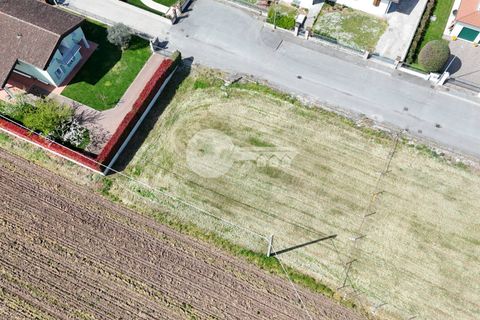 Helårsgrund i Calvisano, Brescia, Calvisano - € 75.000 | Ref: 6415062020-1442 - foto 7
