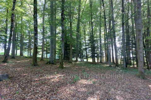 Villa em Ussel, Correze, Ussel - € 168.000 | Ref: 913V697M-tw - foto 21